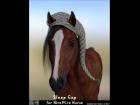 Sleep Cap for Hivewire Horse DS