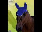 Casual Veil for the HiveWire Horse DS PSR