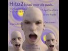 Hito2 Head Morphs