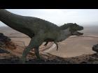 Allosaurus Male and Female