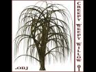 Creepy Weepy Willow 01 .obj