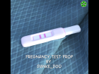 Pregnancy Test Prop
