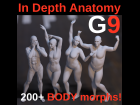 In Depth Anatomy - Body Morphs