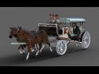 Horse drawn carriage 8