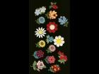 embroidered applique trim, floral, flowers,