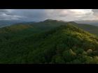 Fly in the Appalachian Mountains