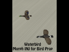 Waterfowl INJ for Poser Low-Poly Bird Prop
