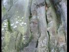 Rock with lichen 2