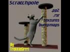 Scratchpole