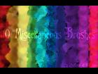 10 Misc Brushes