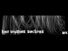 Hair Brushes: Sections
