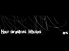 Hair Brushes: Whisps