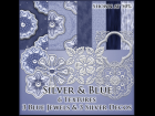 Silver & Blue Kit