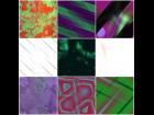 Abstract Tiles 3511-3520