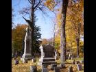 Mt Albion Cemetery #1