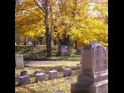 Mt Albion Cemetery #2