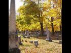 Mt Albion Cemetery #3