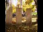 Mt Albion Cemetery #9