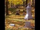 Mt Albion Cemetery #10