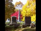 Mt Albion Cemetery #11