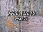 4 Tree Bark Textures - Hi-Res