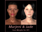 Ethnic Face Morphs for SP3