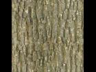 Tileable bark texture