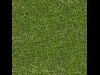 Tileable GRASS 01