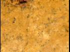 Natural Stone Texture 7