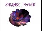 Strange Flower