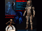 Predator 2-gear