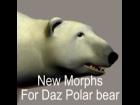 Polar Bear Morph
