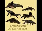 Crocodile pngs