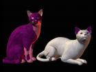 light purple and purple and pink for mil cat