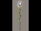daisy flowery wand - poser prop
