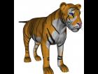 tiger for mil big cat