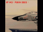 F4 Phantom VF-143 "PUKIN DOGS"