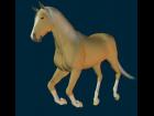 palomino for mil horse