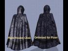 Wayii's M4 Hooded Cloak Optimized for Poser