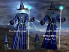 Optimized for Poser - Wayii Blue and Purple Mage