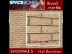 Brickwall 5