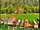 Swanton Road Mailboxes, Swanton, California,