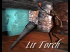 Lit Torch