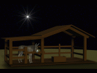 Nativity stable