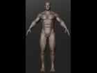 Sculptris Human male model