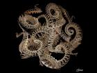 Crocheted Sea Serpent