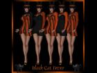 Black Cat Fever