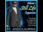 Expansion for Adzan's Still Life Coat