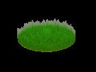 Grass-prop hair