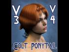 Yeoman Colt Hair for V3 and V4
